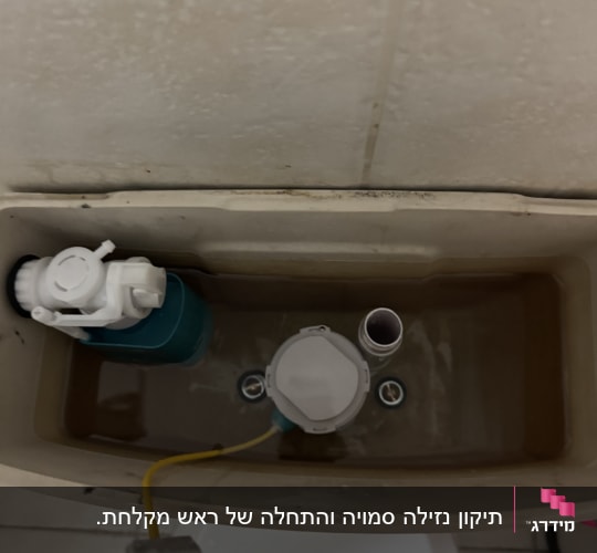 מיכל הדחה עם חלקים פנימיים